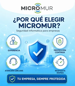 Razones para elegir Micromur: experiencia, protección continua, atención cercana y respuesta rápida